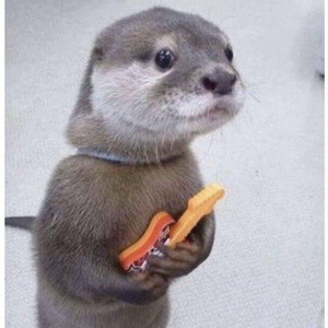 Fundraising Page: Sarah Stofer